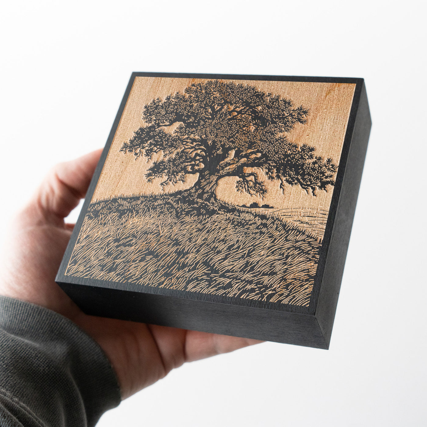 Live Oak on a Hill Mini Engraved Birch Wood Panel
