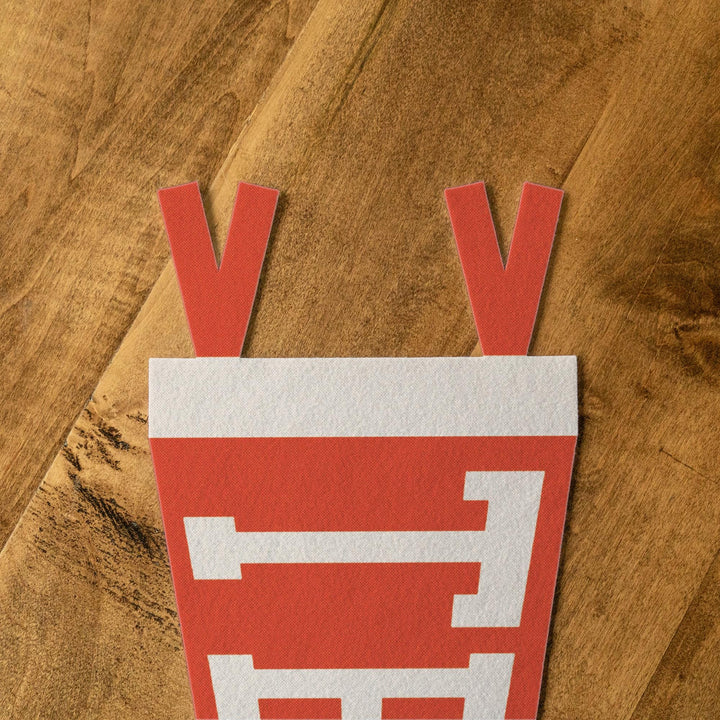 Texas Varsity Felt Pennant