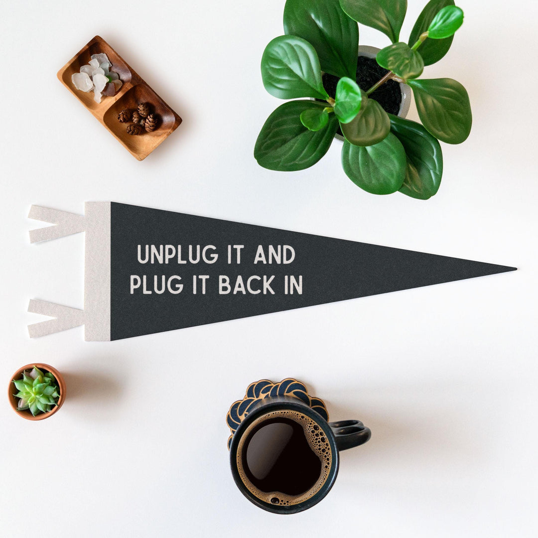 Unplug It And Plug It Back In Felt Pennant