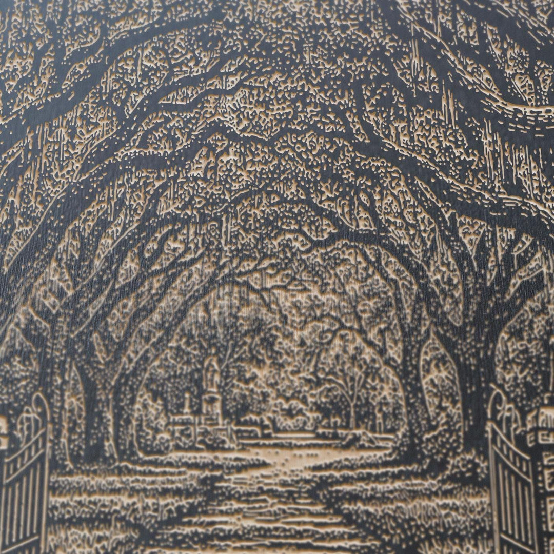 Savannah Oak Avenue Engraved Birch Art Panel