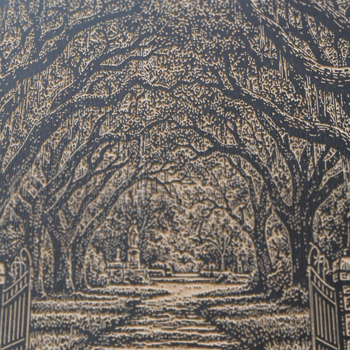 Savannah Oak Avenue Engraved Birch Art Panel