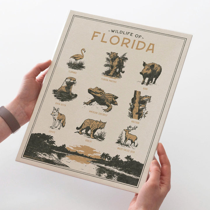 Florida Wildlife Print