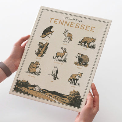Tennessee Wildlife Print