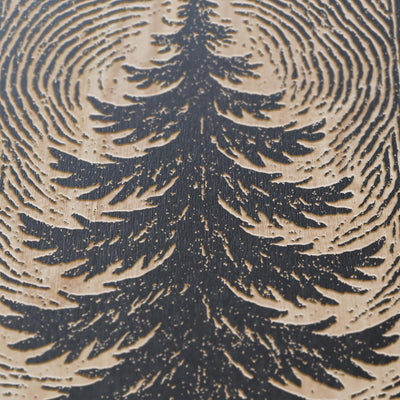Pine Tree Engraved Birch Illustration