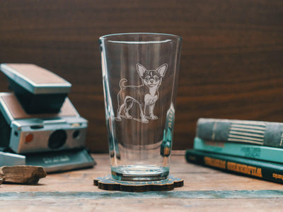 Chihuahua Dog Glasses