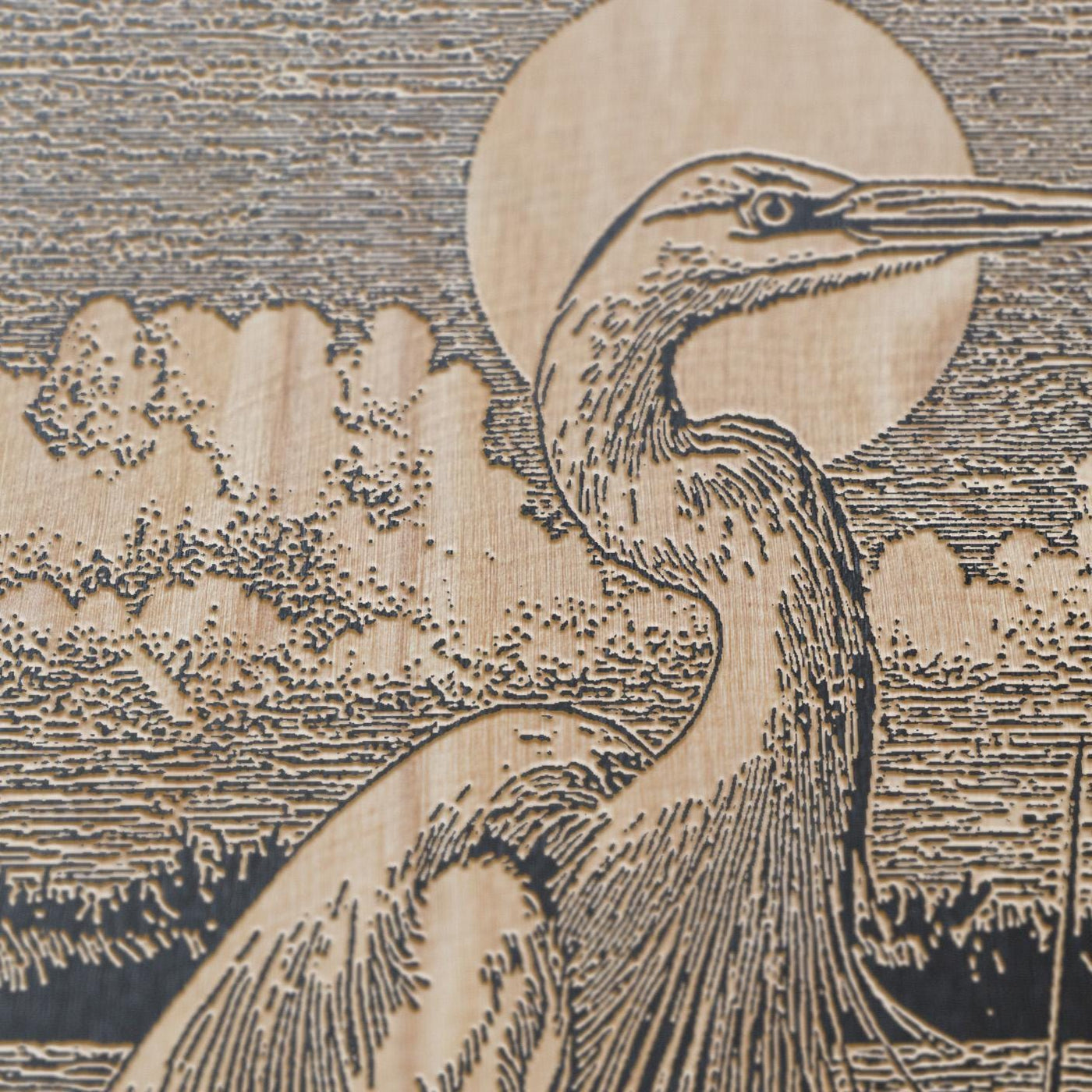 Blue Heron in Marsh Engraved Illustration