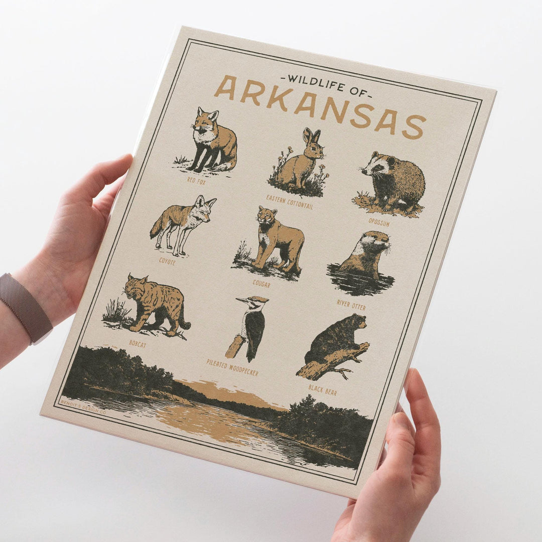 Arkansas Wildlife Print