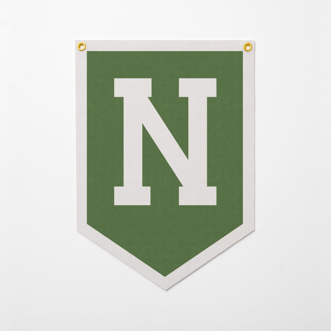A green banner with a large white letter &amp;quot;N&amp;quot; on it.