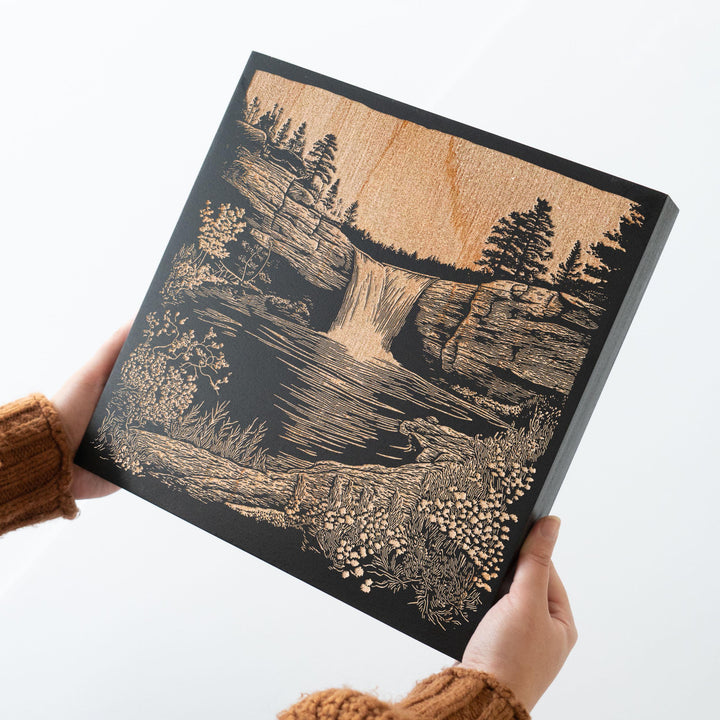 Alabama Noccalula Falls Engraved Illustration