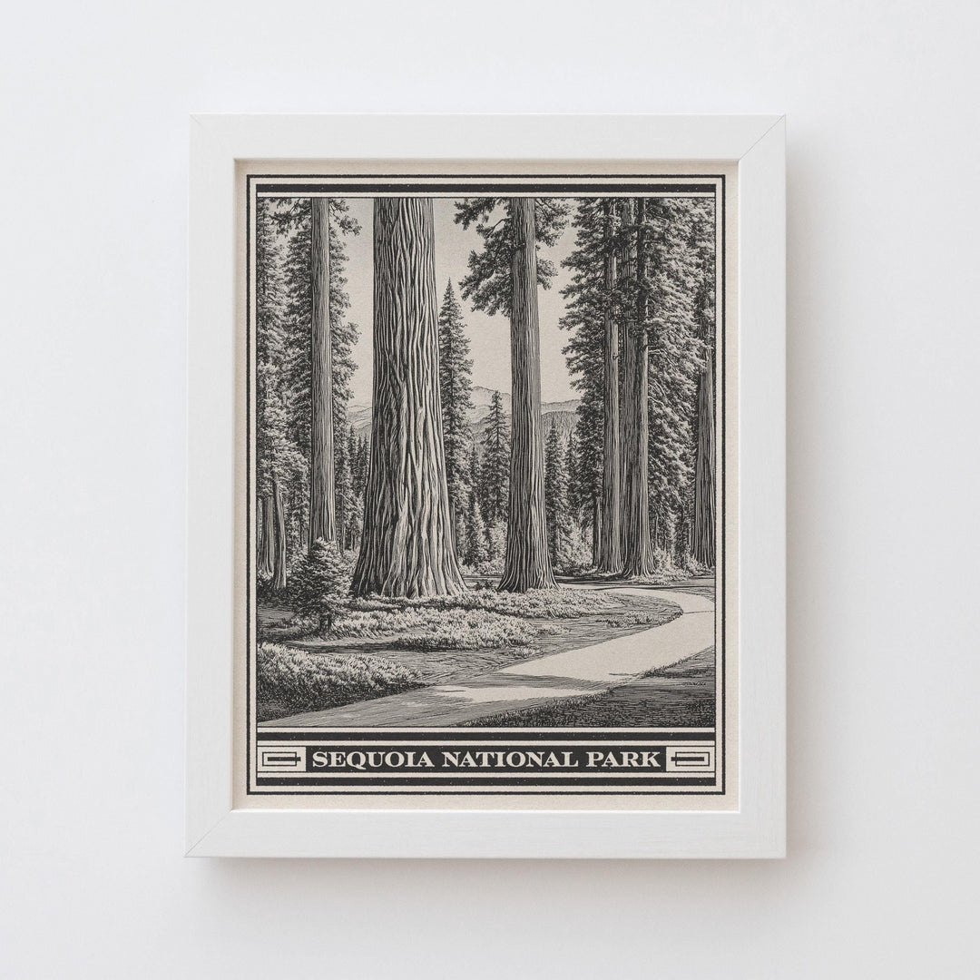 Sequoia National Park Lithograph Style Print - Vintage California archival matte fine art print. Giant Forest Sierra Nevada Mountains Gift.