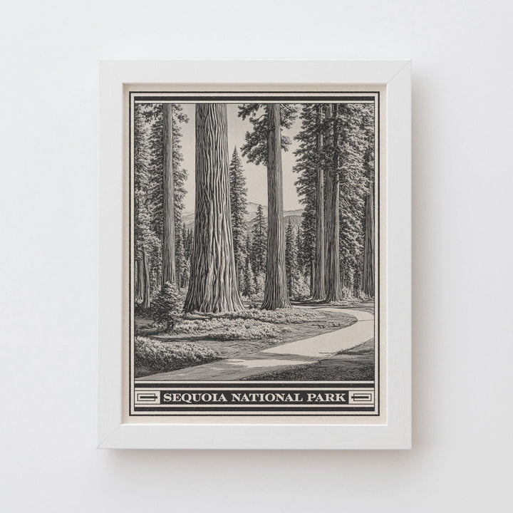 Sequoia National Park Lithograph Style Print - Vintage California archival matte fine art print. Giant Forest Sierra Nevada Mountains Gift.
