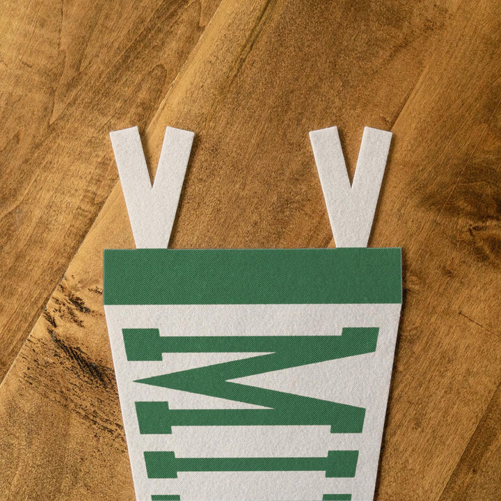 Minnesota Varsity Felt Pennant
