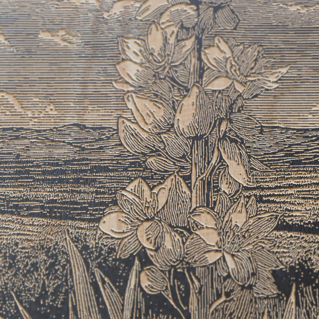 Flowering Yucca Engraved Illustrations