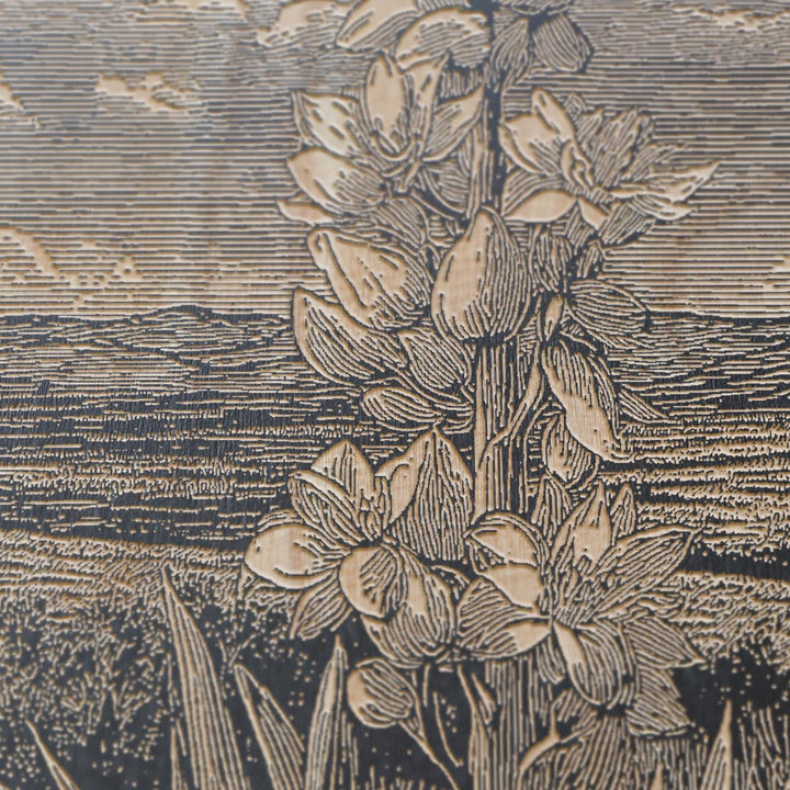 Flowering Yucca Engraved Illustrations