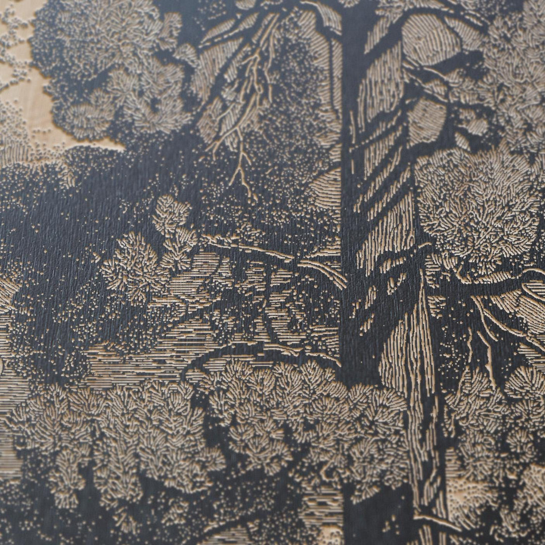 Ponderosa Pine Engraved Illustrations