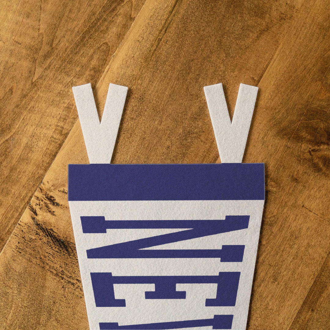New Jersey Varsity Felt Pennant