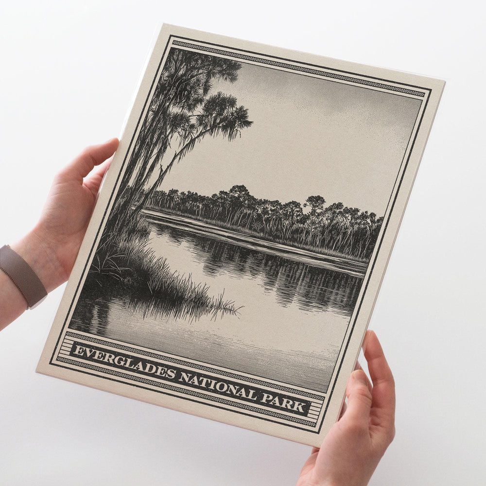 Everglades National Park Lithograph Style Print - Vintage Florida archival matte fine art print. South Florida Alligator Wildlife Swamp Gift