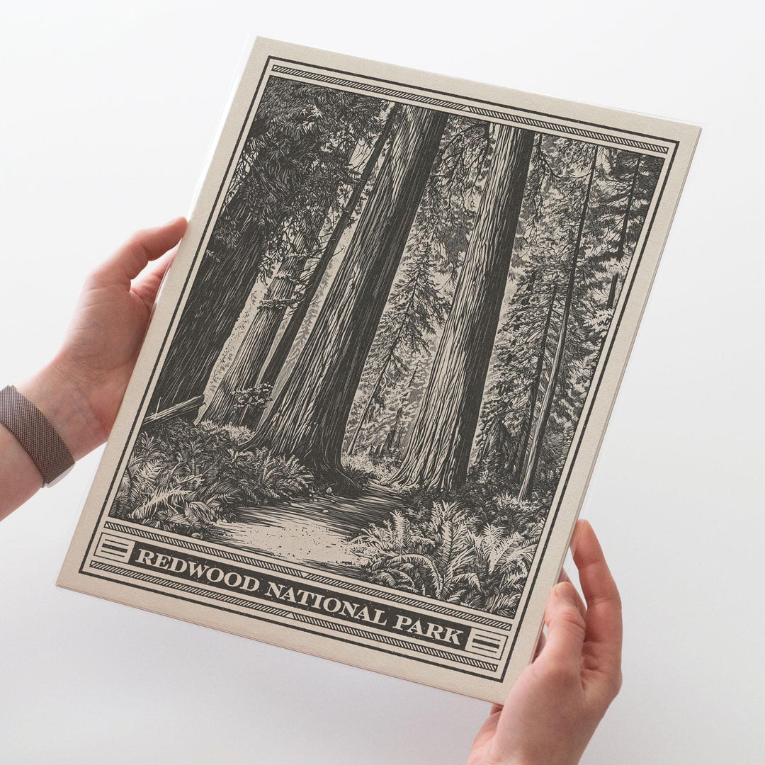 Redwood National Park Lithograph Style Print - Vintage California archival matte fine art print. Jedediah Smith Prairie Creek Redwoods Gift