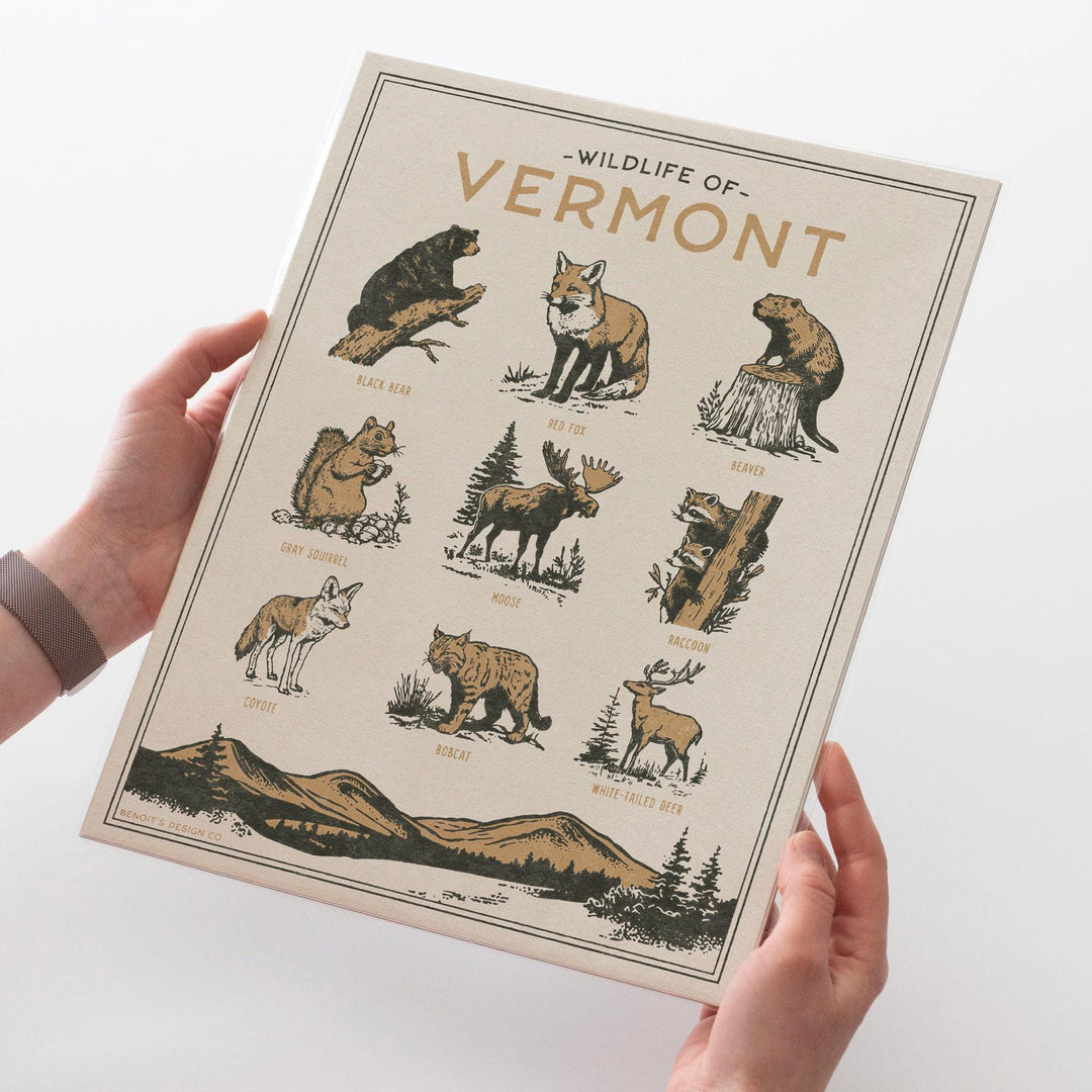 Vermont Wildlife Print