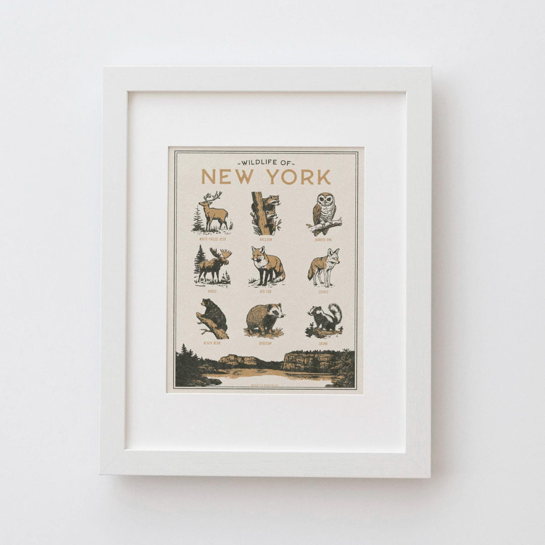 New York Wildlife Print