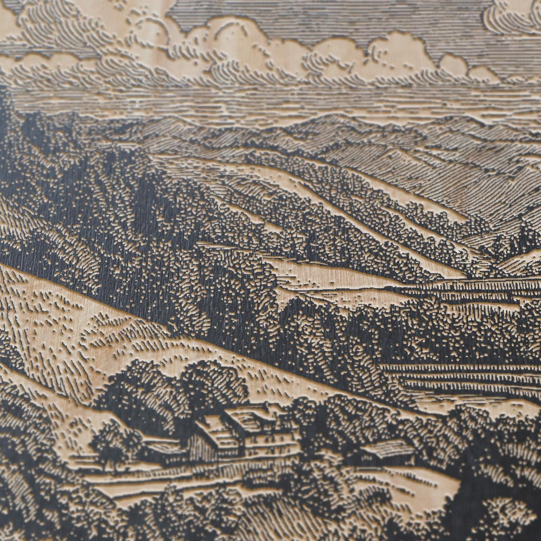 Wine Country Engraved Illustration