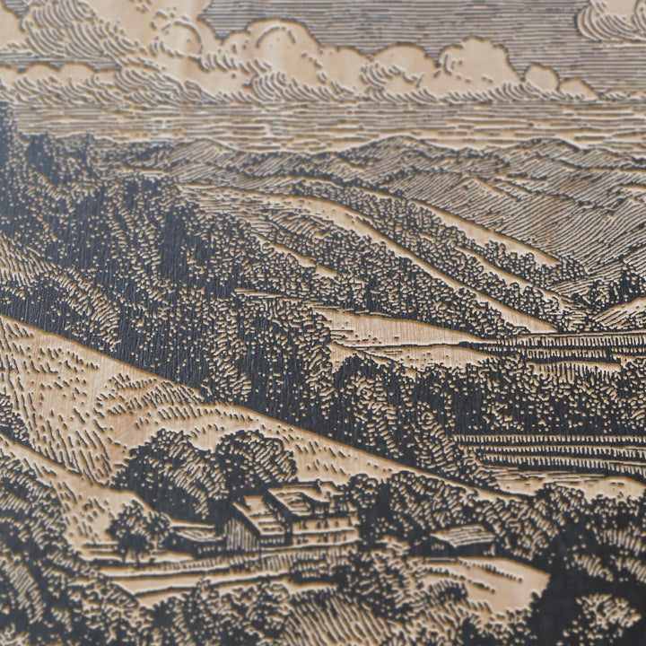 Wine Country Engraved Illustration