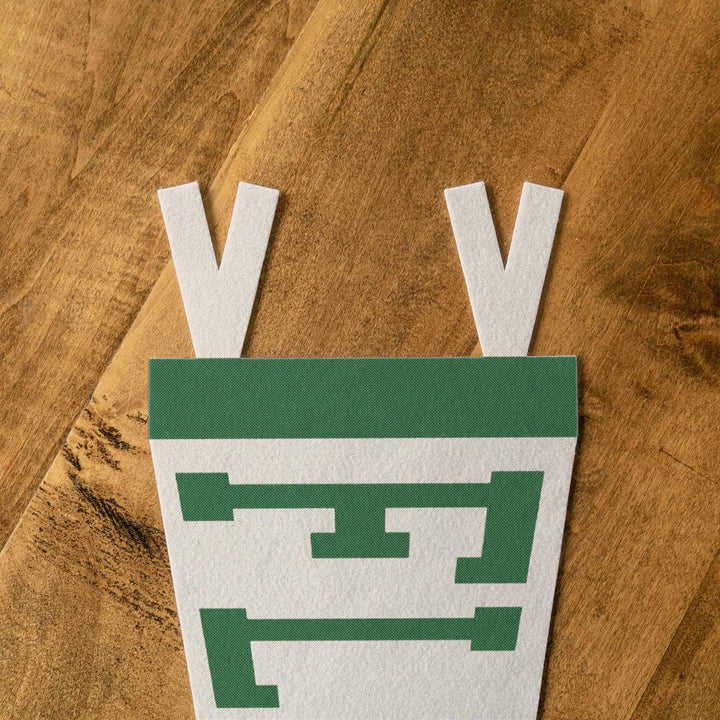 Florida Varsity Felt Pennant