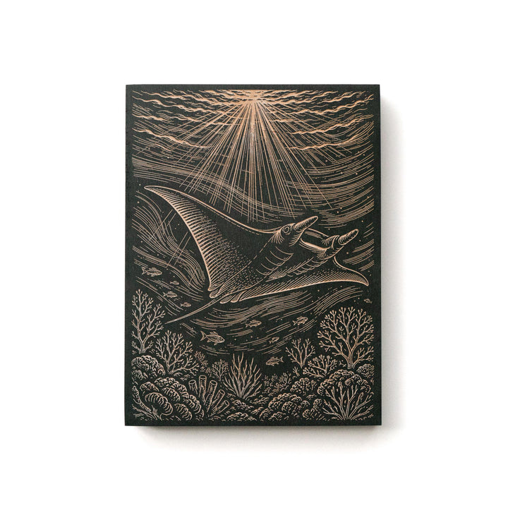 Manta Ray Over Coral Reef Engraved Birch Art Panel