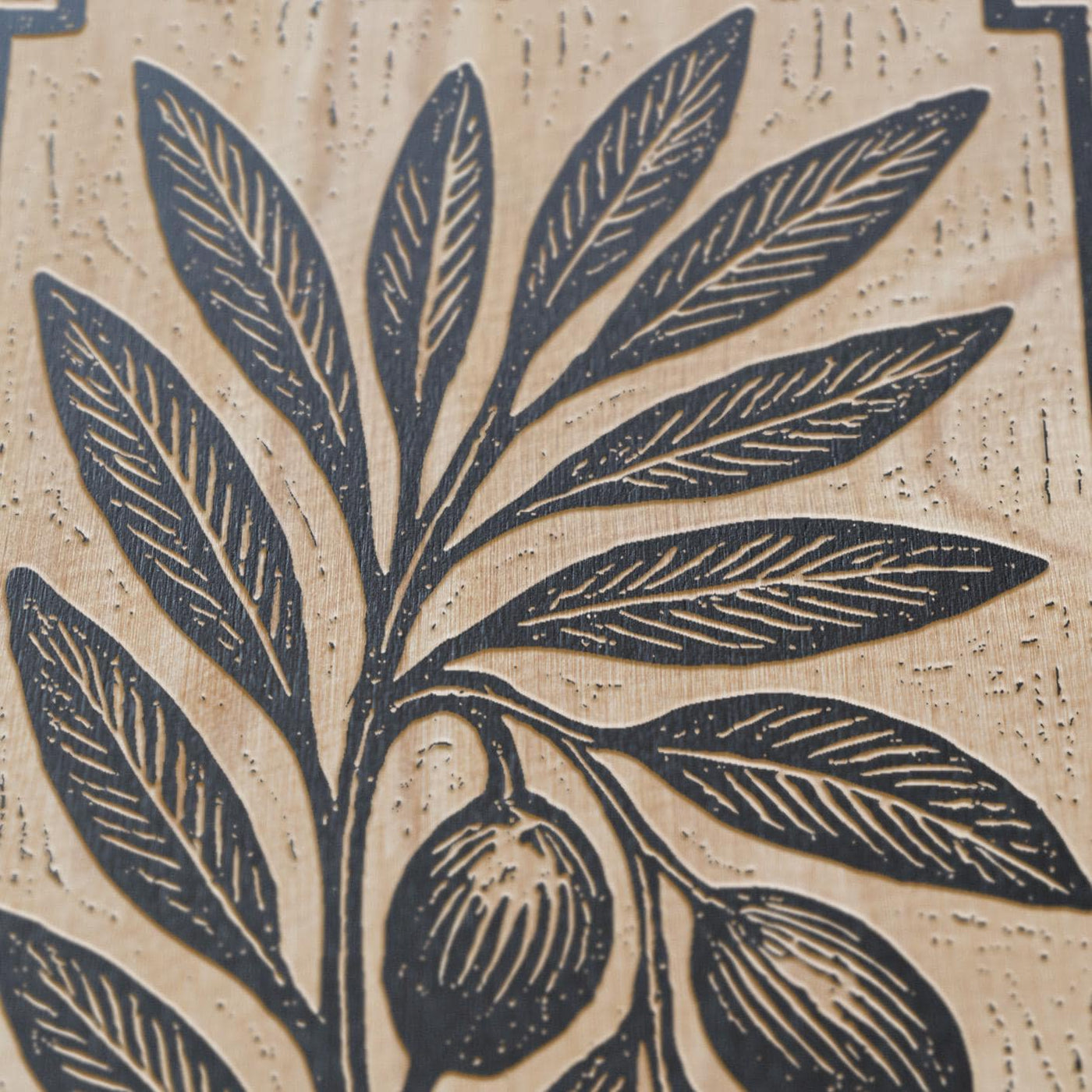Olive Branch Engraved Birch Illustration