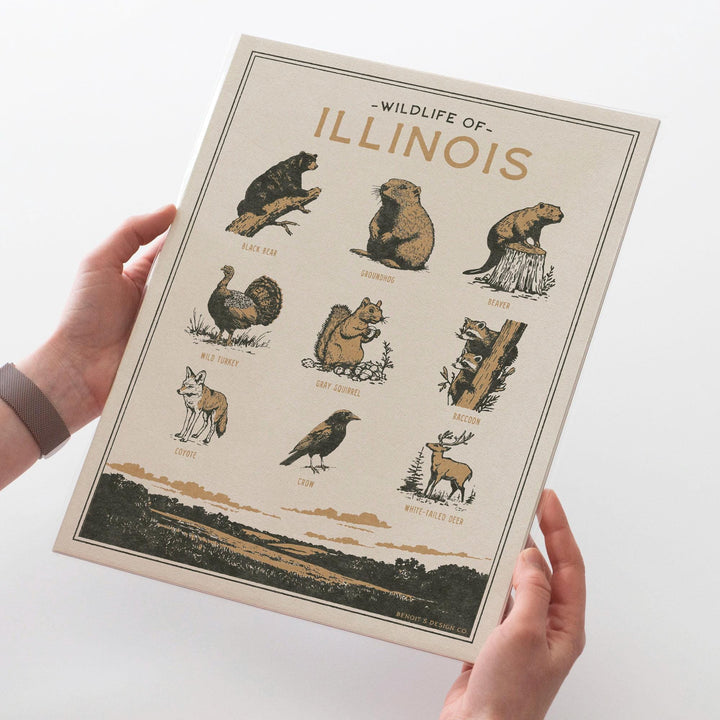 Illinois Wildlife Print