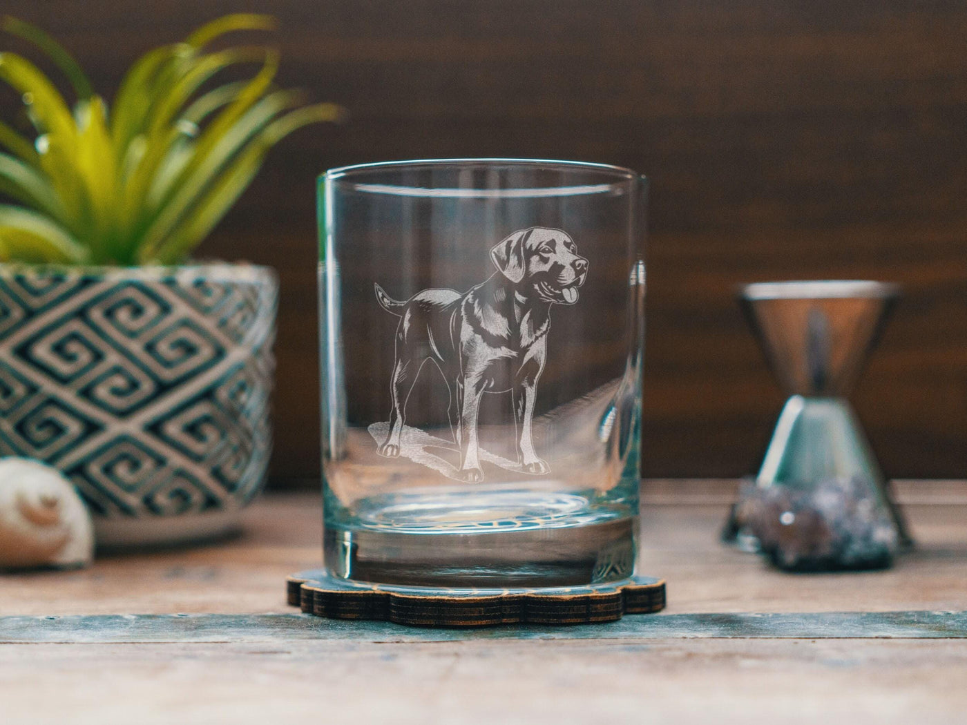 Labrador Retriever Dog Glasses