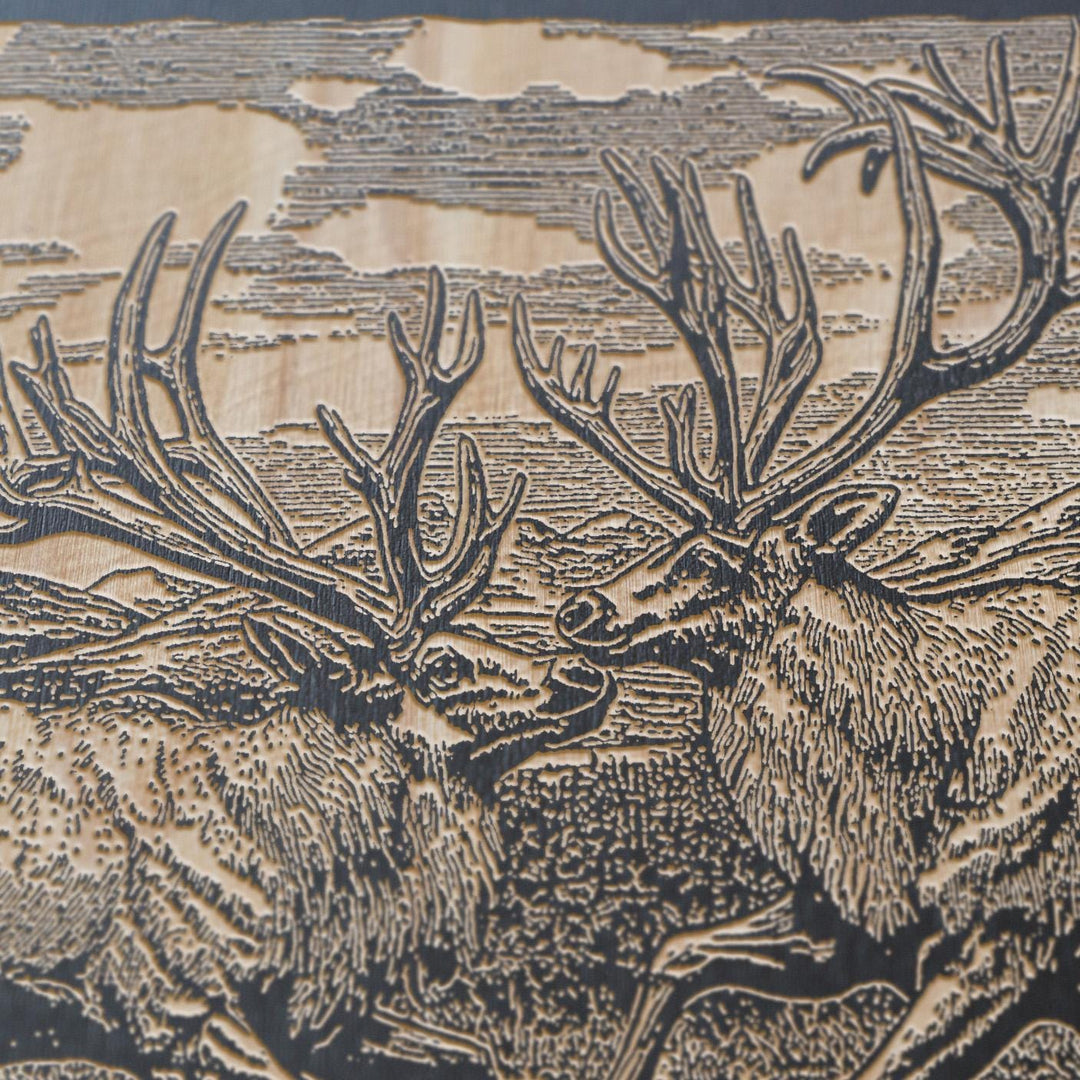 Sparring Caribou Engraved Illustration