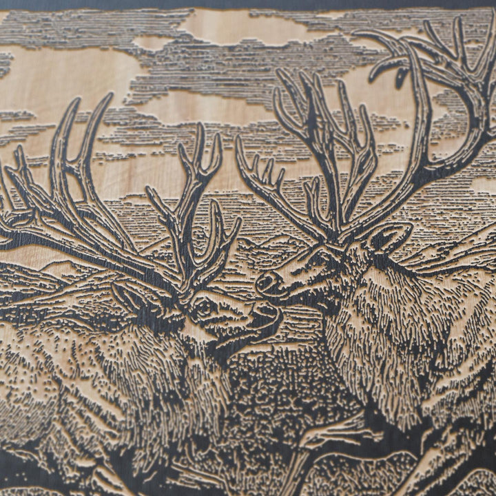 Sparring Caribou Engraved Illustration