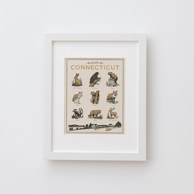Connecticut Wildlife Print