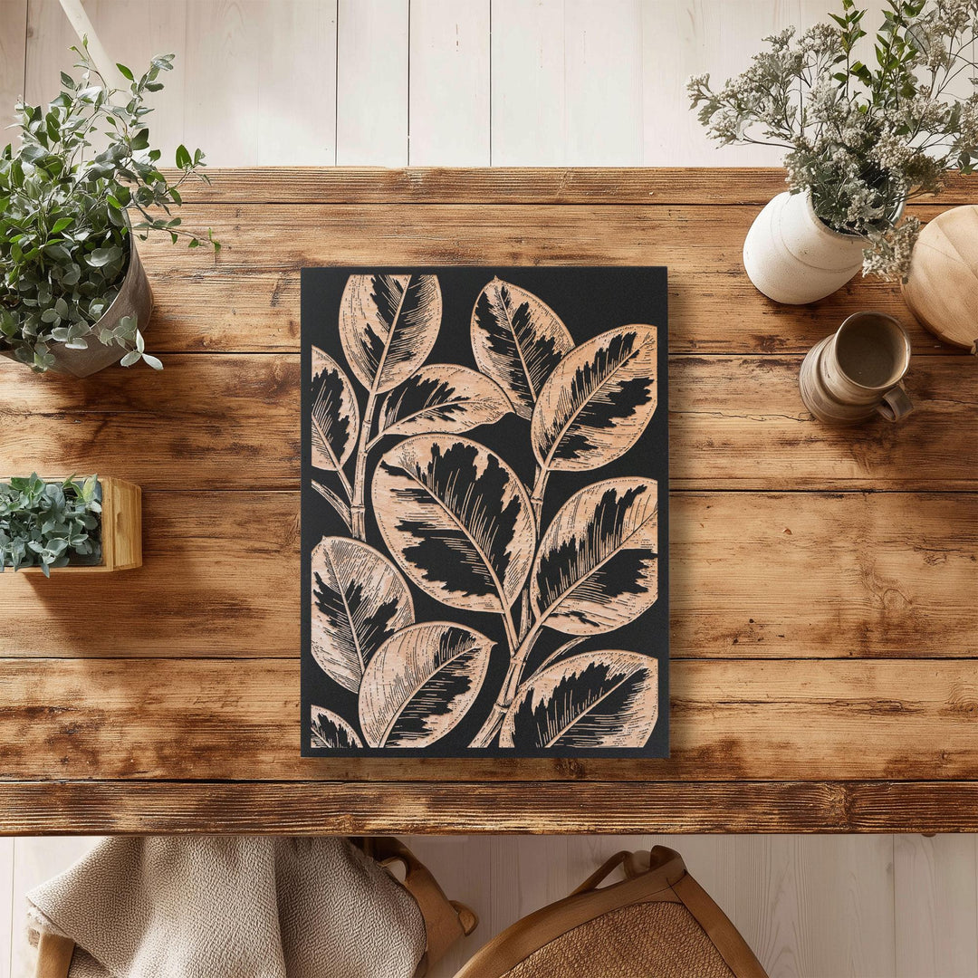 Ficus elastica &