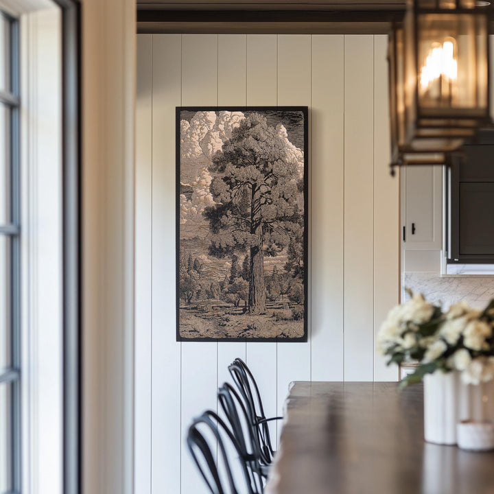 Ponderosa Pine Engraved Illustrations