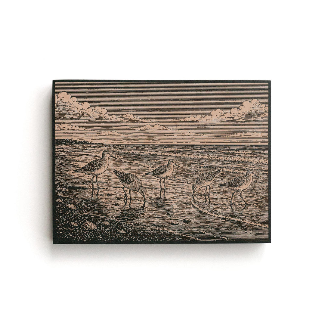 Shorebirds at the Waterline Engraved Birch Art Panel