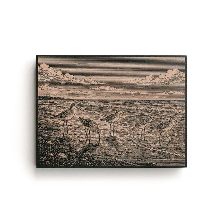 Shorebirds at the Waterline Engraved Birch Art Panel