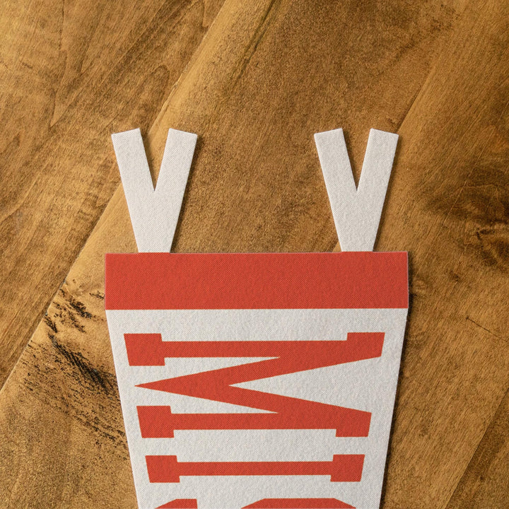 Mississippi Varsity Felt Pennant