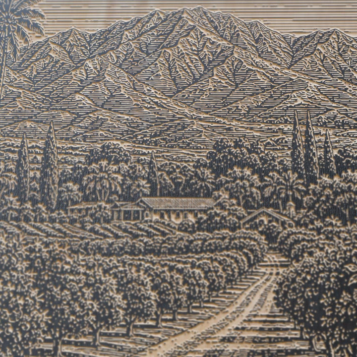 Ojai Orange Grove Engraved Birch Art Panel