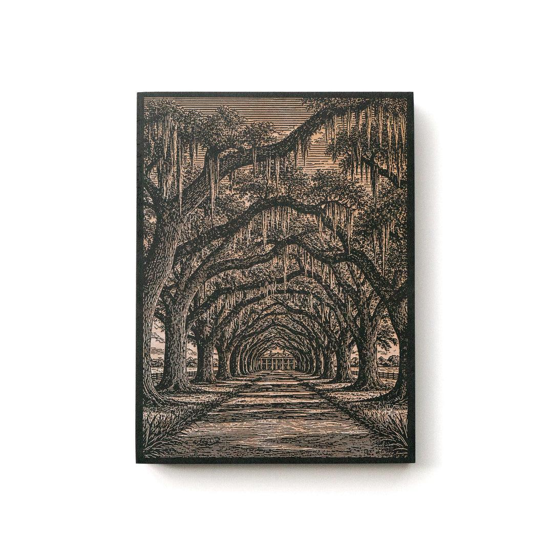 Live Oak Alley with Spanish Moss Engraved Birch Art Panel