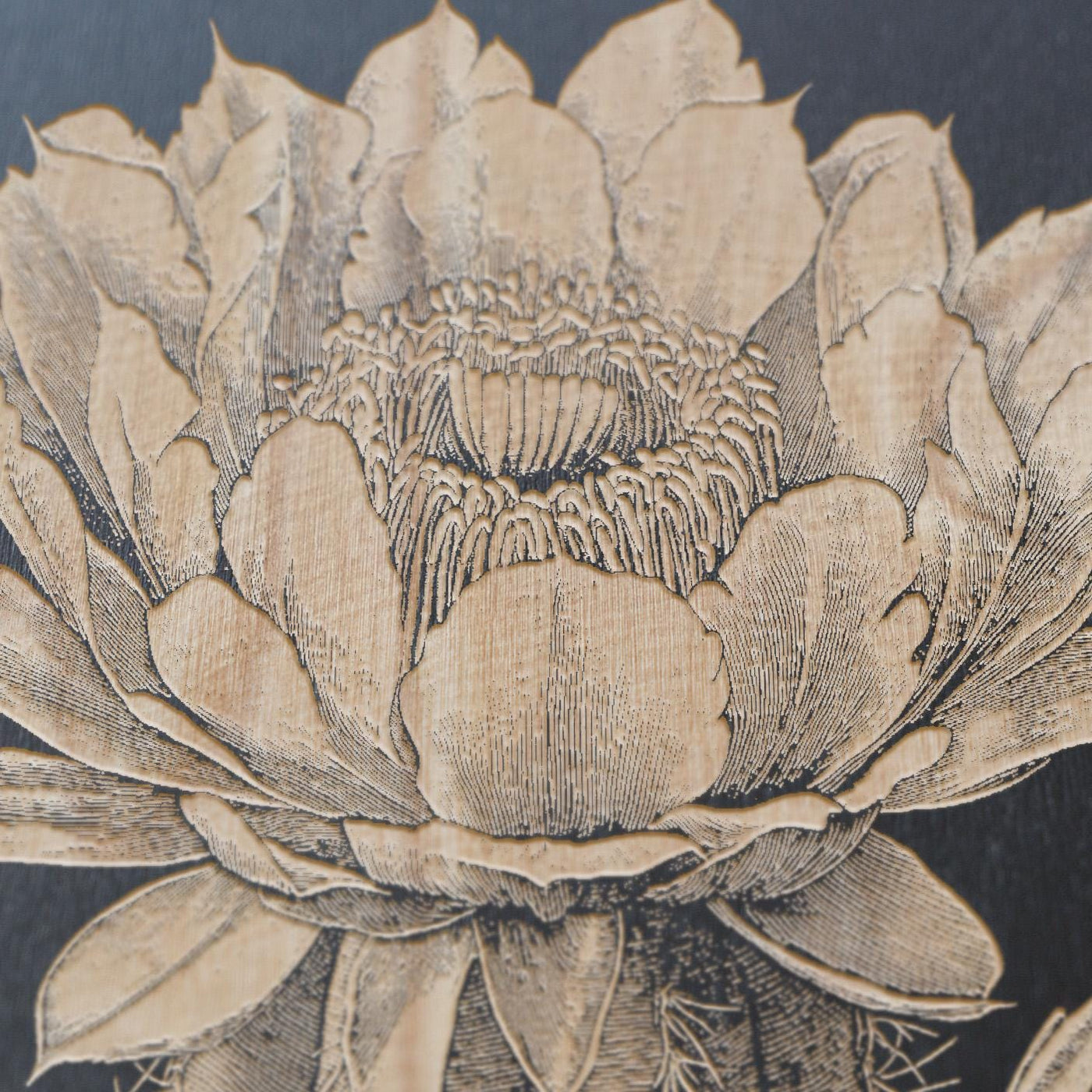 Saguaro Cactus Blossom Floral Wall Art