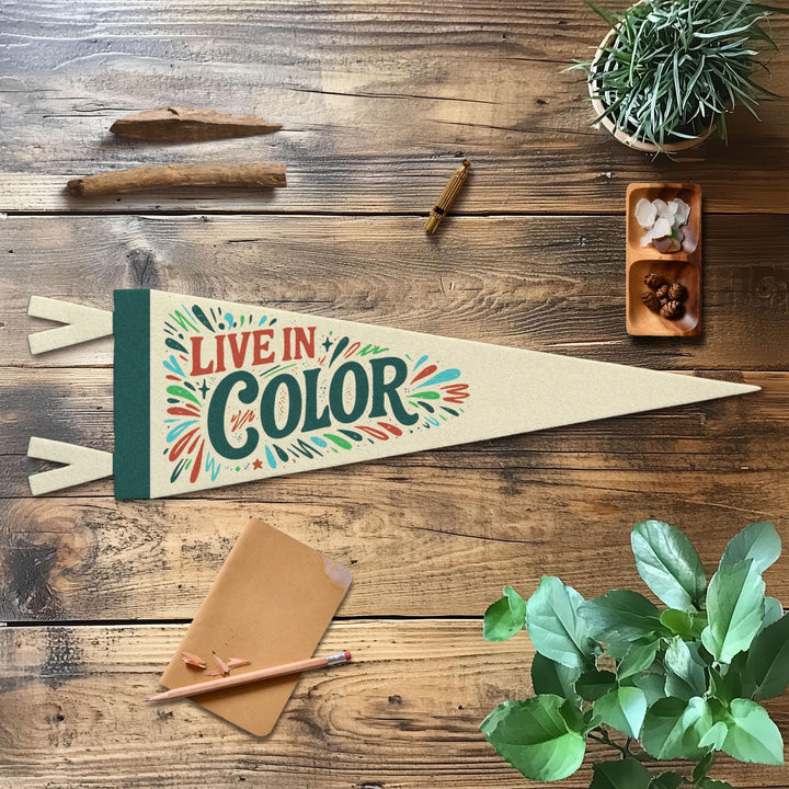 Live In Color Felt Pennant