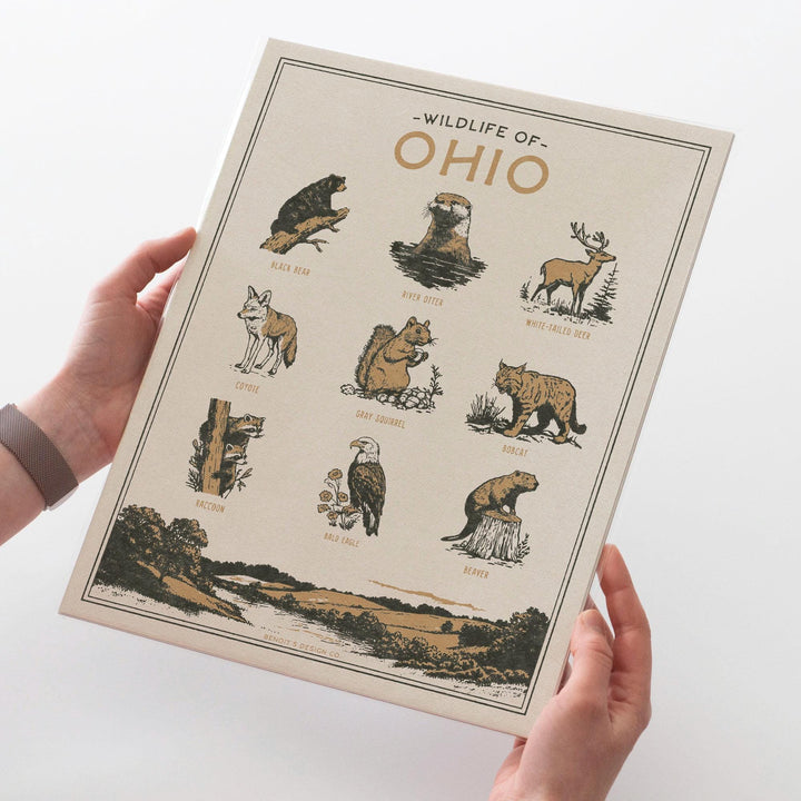 Ohio Wildlife Print