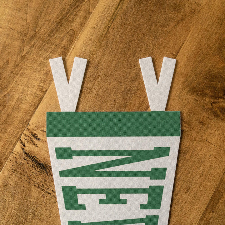 New Mexico Varsity Felt Pennant
