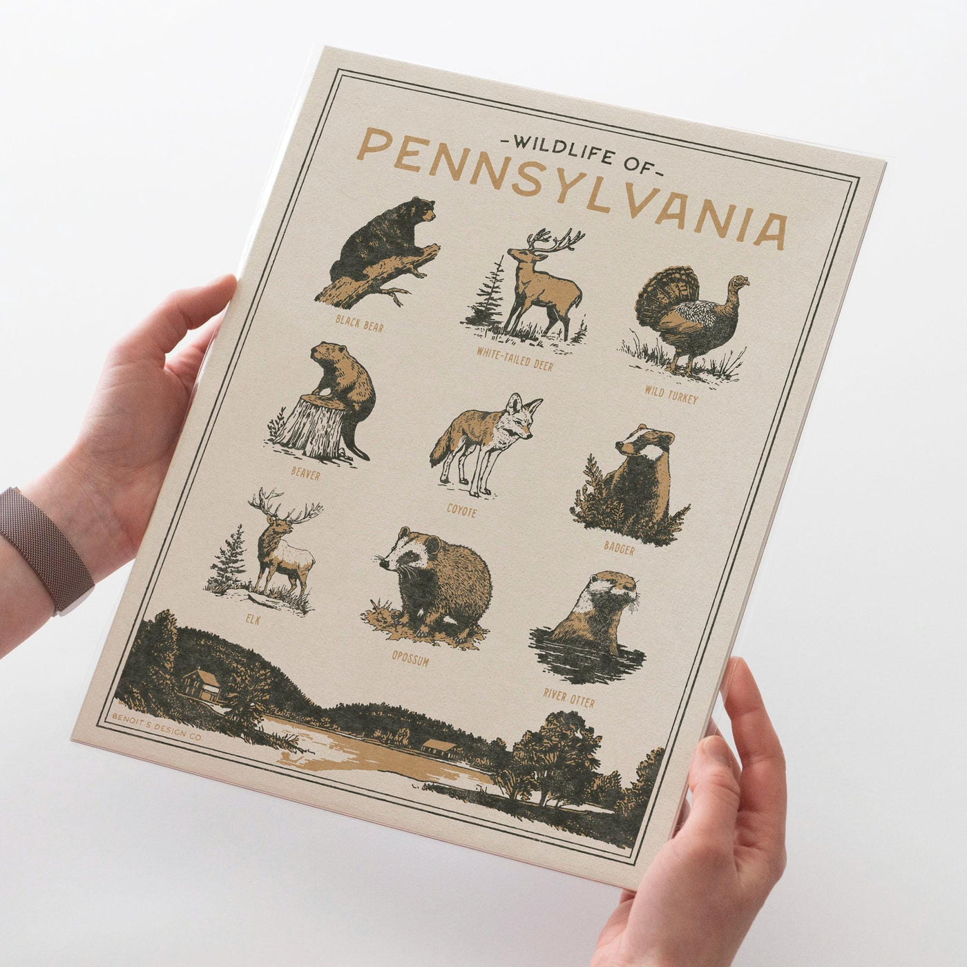 Pennsylvania Wildlife Wall Art Print
