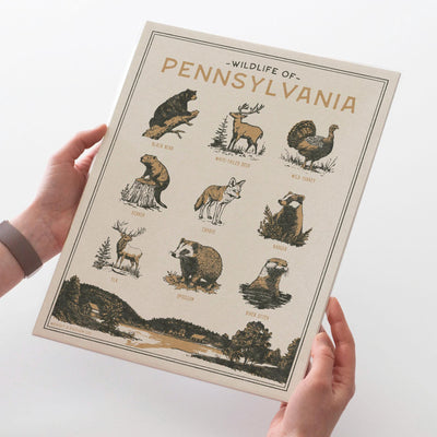 Pennsylvania Wildlife Wall Art Print