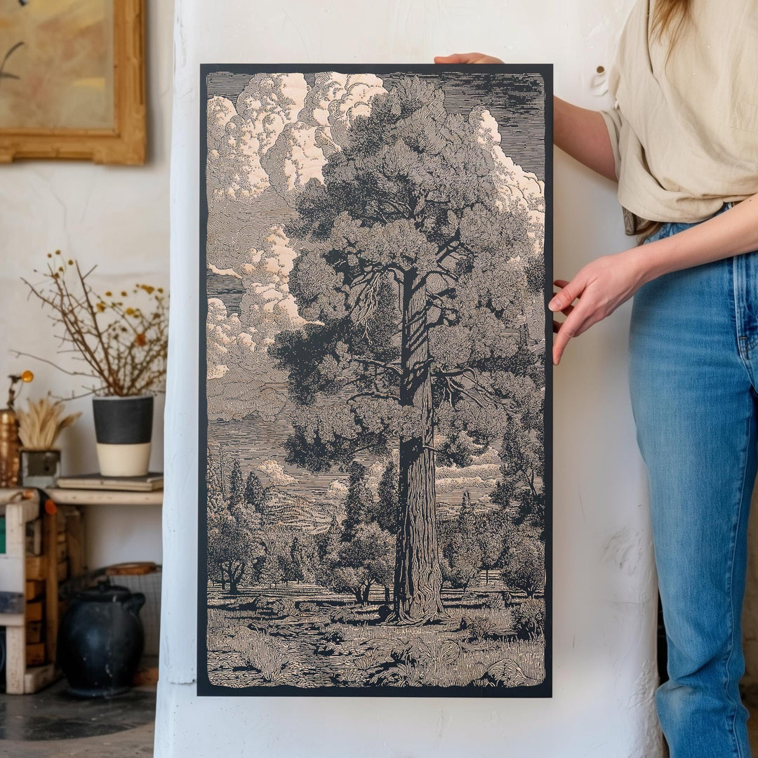 Ponderosa Pine Engraved Illustrations