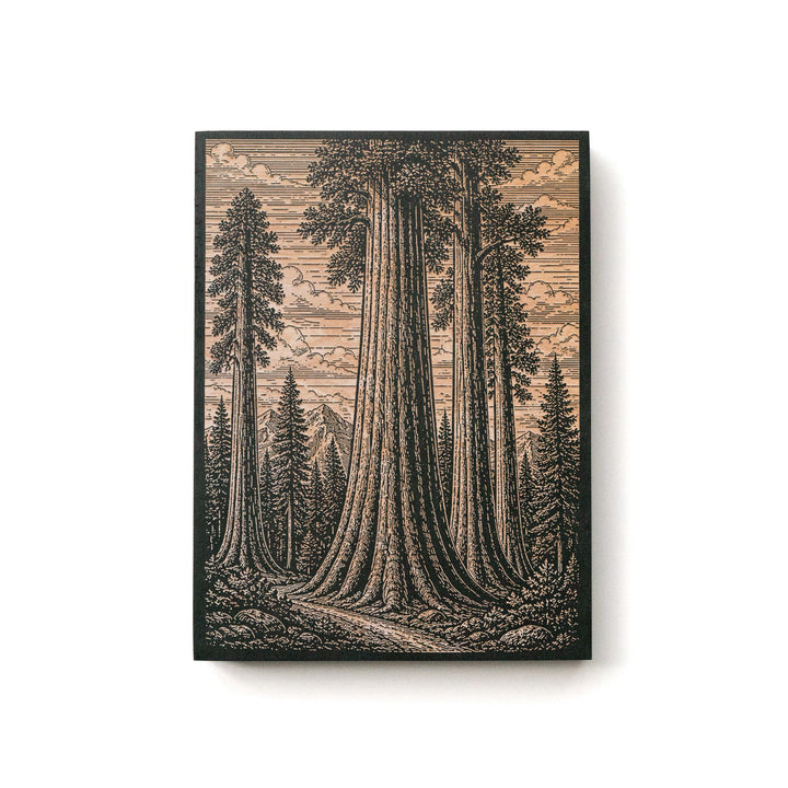 Giant Sequoia Grove Engraved Birch Art Panel