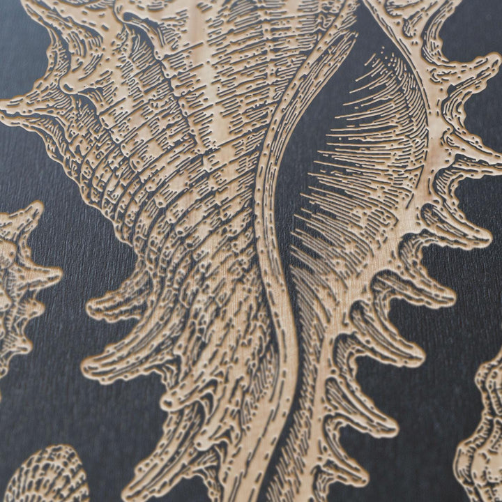 Shell Study Vertical Engraved Birch Art Panel